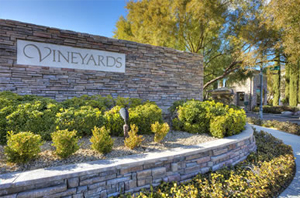 The-Vineyards